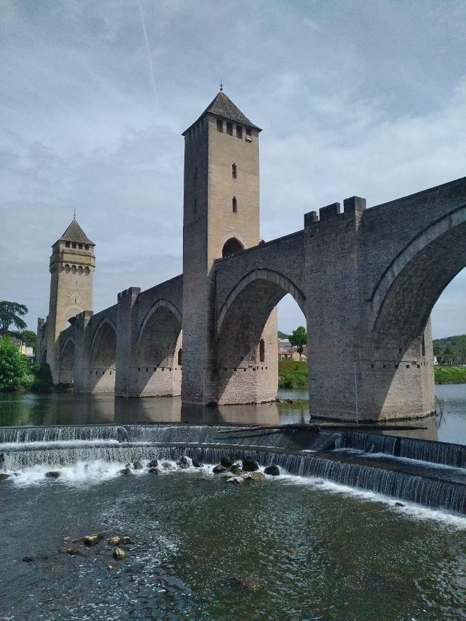 Centre - Vue Imprenable Sur Le Pont Valentre - Au Bord De La Rivière * Cahors